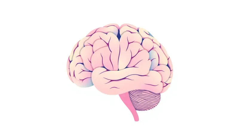 Automate SOP generation in education with our AI-powered framework, streamlining processes and improving efficiency while maintaining quality control.